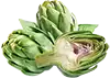 Alcachofa