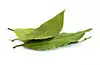 hojas de laurel secas