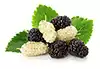 moras enteras frescas