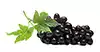 Uvas Negras