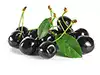 cerezas negras frescas