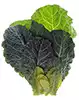 verduras de berza cocidas (usamos las sobras del saag, pero se pueden dejar fuera fácilmente)