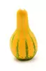 Calabaza De Cushaw