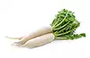 rábano daikon (rábano blanco grande)