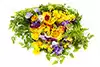 flores comestibles frescas, para servir