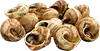 escargot, escurrido