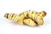 galangal de tierra