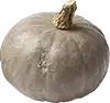 calabaza hubbard asada con arce, sin piel(sin apretar)
