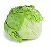hojas de lechuga