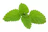 Bálsamo De Limón