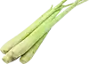 Hierba Limón