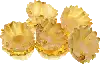 Conchas Mini Filo