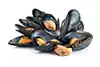 mejillones, fregados deseche los que no estén vivos