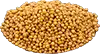 Mostaza