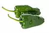 Chile Poblano