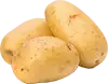 Patata