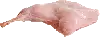 Pata De Conejo