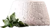 Queso Ricotta