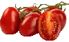 Tomate Roma