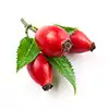 pétalos del centro de una rosa para decorar