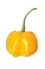 chile molido pequin o chile habanero molido (ver Nota)