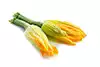 Flores De Calabacín