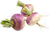 Nabo
