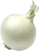 Cebolla Blanca