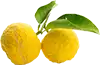 picado citron