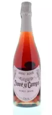 Juve Y Camps Pinot Noir Brut Rosado