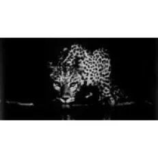 Colección Taittinger Taittinger de Sebastiao Salgado