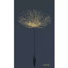 Driscoll Wine Co Tilth Zinfandel, Reino Unido