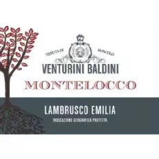 Venturini Baldini Lambrusco de Montelocco