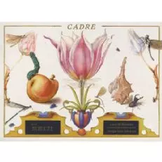 Cuadro Flor de Piedra Sauvignon Blanc