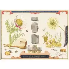 La Banda de las Piedras Gruner Veltliner