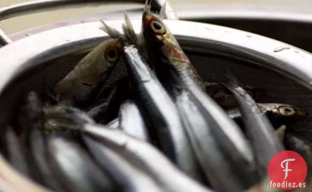 Boquerones Marinados