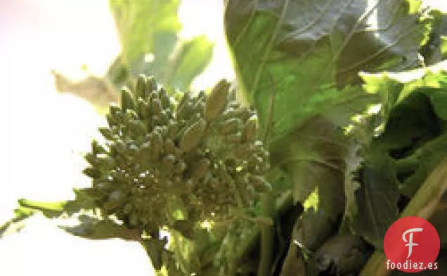 Cena De Esta Noche: Brócoli Rabe Y Pasta De Salchichas