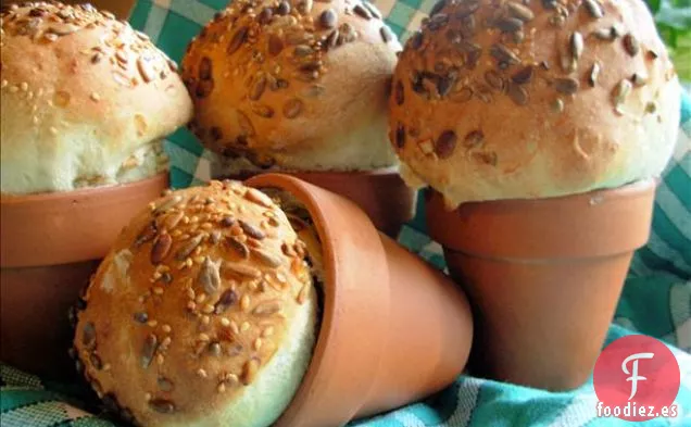 Tortitas De Calabaza (O Calabaza) 