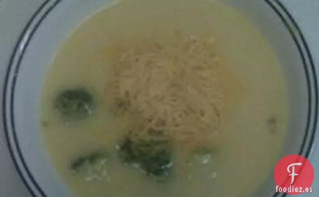 Sopa de Queso con Brócoli IV
