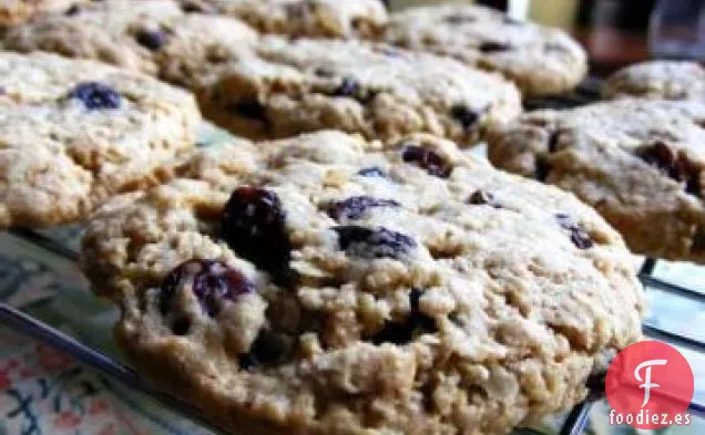 Galletas Veganas de Pasas de Uva con Harina de Avena y Canela