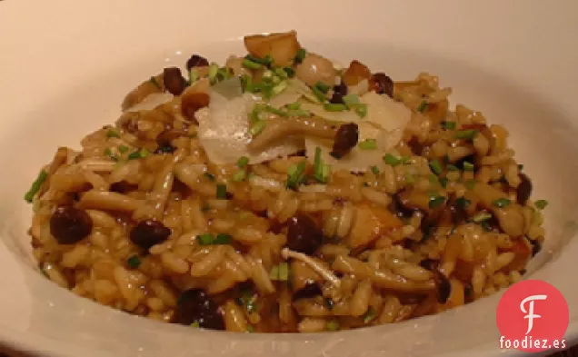 Risotto de Setas Silvestres