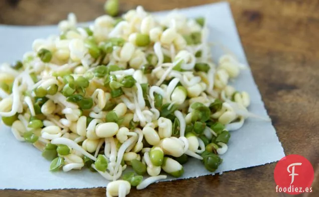 Col Rizada Y Ensalada De Frijol Mungo