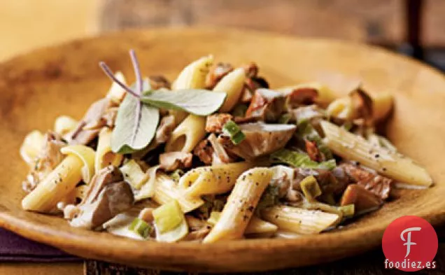 Penne con Setas Silvestres