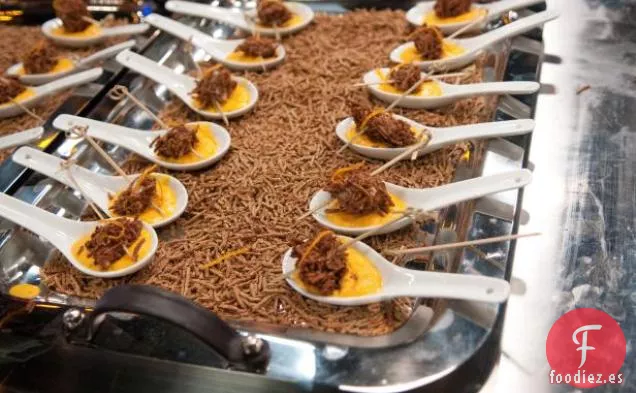 Sopa de Zanahoria y Jengibre con Sandreg de Kellogg; Panecillos de Lomo de Cerdo con Costra