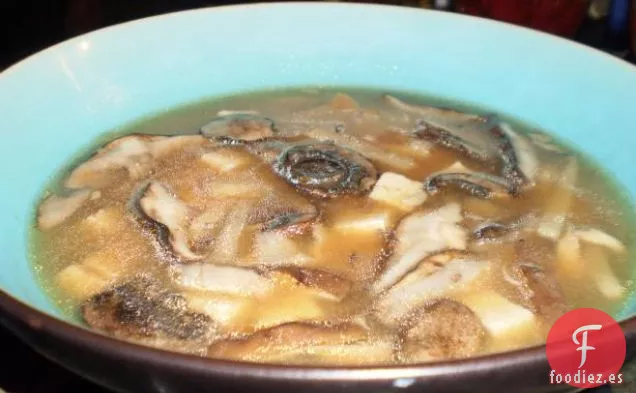 Sopa Agria y Caliente