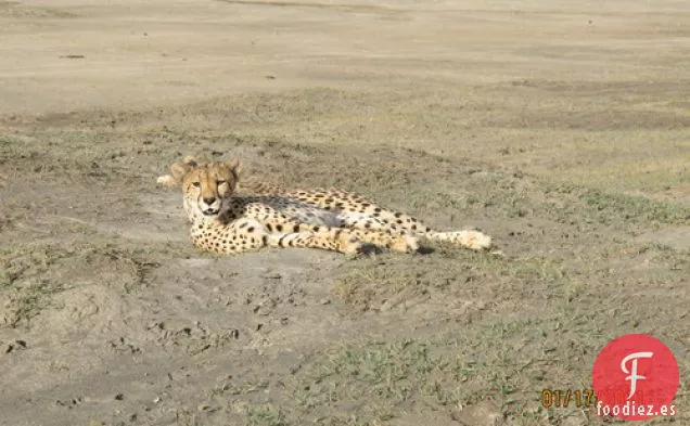 Pescado Al Horno En Papel De Aluminio Con Hinojo Y Lima