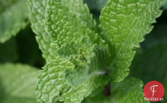 Granizado de Chile Verde y Menta