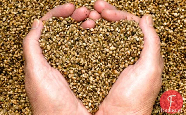 Pilaf De Mijo Con Coulis De Zanahoria Al Curry