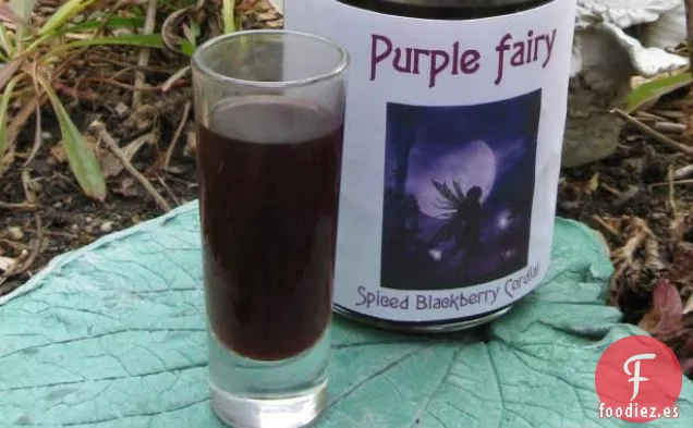 Cordial de Mora con Especias