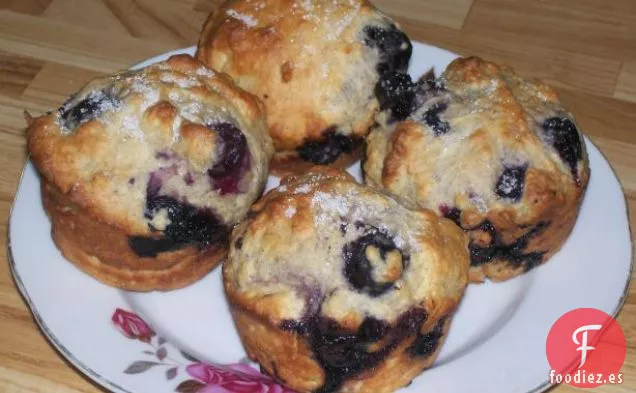 Pastel de Bayas Doble Fresco